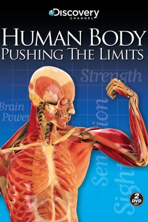 Human Body Pushing the Limits