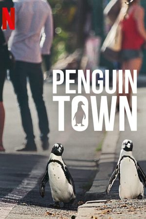Xem phim Thị trấn cánh cụt - Penguin Town HD Vietsub motphim Phim Mỹ 2021