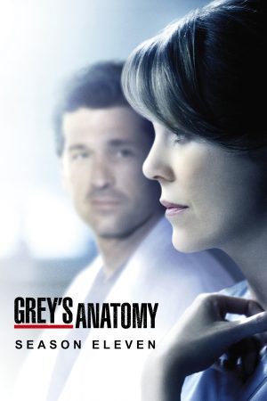 Xem phim Ca Phẫu Thuật Của Grey ( 11) - Greys Anatomy (Season 11) HD Vietsub motphim Phim Mỹ 2014