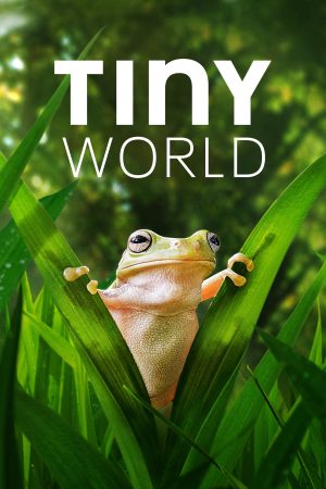 Xem phim Thế Giới Siêu Nhỏ ( 2) - Tiny World (Season 2) HD Vietsub motphim Phim Mỹ 2021