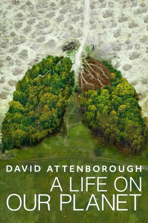 David Attenborough Một cuộc đời trên Trái Đất