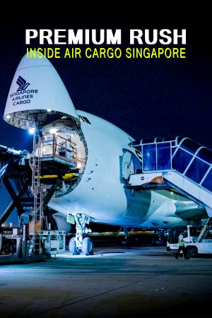 Xem phim Premium Rush Bên Trong Kho Hàng Không Singapore - Premium Rush Inside Air Cargo Singapore HD Vietsub motphim Quốc Gia Khác 2024